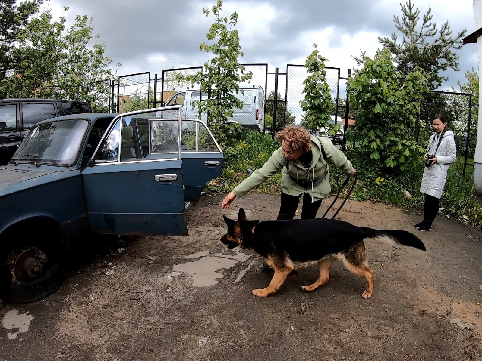 В Восточном округе прошли соревнования кинологов-добровольцев - Новости -  Главное управление МЧС России по г. Москве